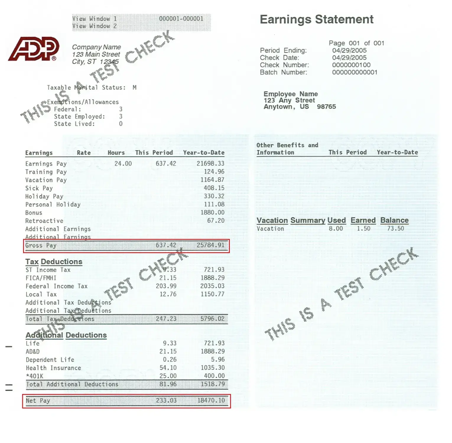 ADP Pay Stub Template